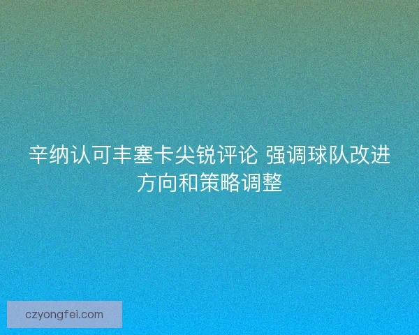 辛纳认可丰塞卡尖锐评论 强调球队改进方向和策略调整