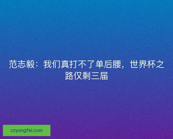 范志毅：我们真打不了单后腰，世界杯之路仅剩三届