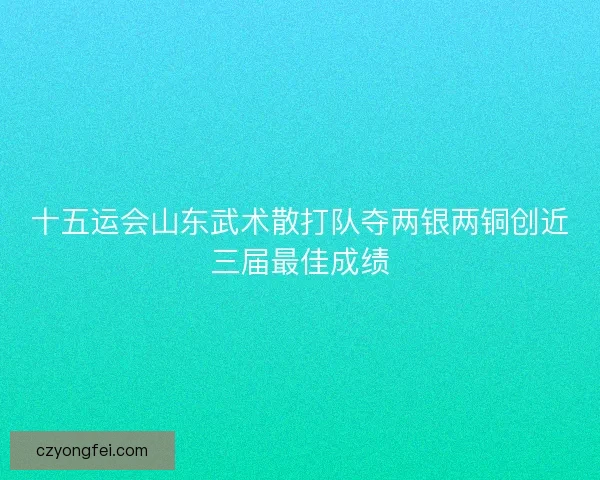 十五运会山东武术散打队夺两银两铜创近三届最佳成绩